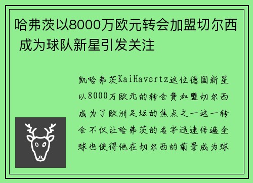 哈弗茨以8000万欧元转会加盟切尔西 成为球队新星引发关注 哈弗茨以8000万欧元转会加盟切尔西 成为球队新星引发关注