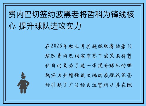费内巴切签约波黑老将哲科为锋线核心 提升球队进攻实力
